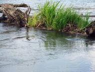 Біляївка з panoramio.com