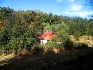 Храпачів Яр з panoramio.com