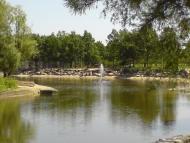 Вища Дубечня з panoramio.com