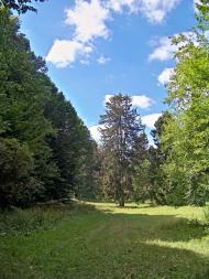 Бране Поле з panoramio.com