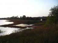 Новоселівка з panoramio.com