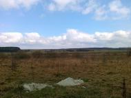 Соснівка з panoramio.com