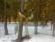 Ізюм з panoramio.com (ч.2) - Ізюм