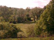 Храпачів Яр з panoramio.com