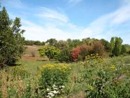 Мірошники - Останні фото