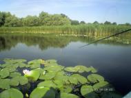 Канівське з panoramio.com