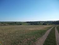 Глинка - Последние фото