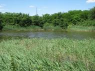 Северинівка з panoramio.com