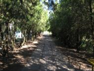 Хорли з panoramio.com