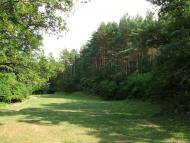 Думенки з panoramio.com