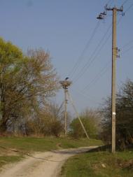 Зноб-Трубчевська - Останні фото