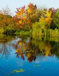 Козин з panoramio.com