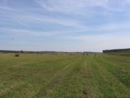 Соснівка з panoramio.com