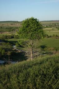 Євсуг з panoramio.com