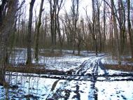 Олексіївка з panoramio.com