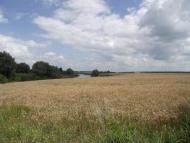 Мирівка з panoramio.com