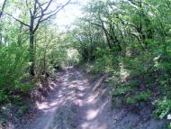 Кизилівка з panoramio.com