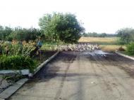 Удачне з panoramio.com