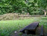 Бране Поле з panoramio.com