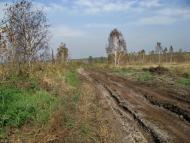 Мале Старосілля з panoramio.com