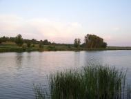 Лузанівка з panoramio.com