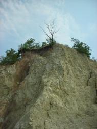 Градизьк з panoramio.com