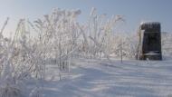 Волноваха з panoramio.com