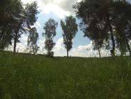 Коритне з panoramio.com