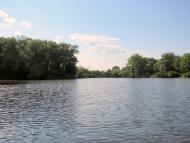 Келеберда - Останні фото