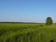 Буда-Бабинецька - Останні фото