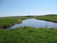 Петрівка з panoramio.com