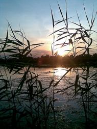 Коробівка з panoramio.com