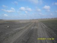 Томарине з panoramio.com