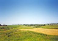 Новосілки з panoramio.com