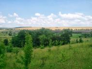 Новоукраїнка з panoramio.com