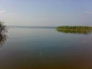 Чехівка з panoramio.com