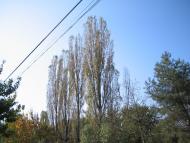 Велика Добронь з panoramio.com