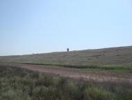 Аврора - Останні фото