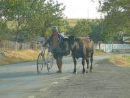 Орлівка з panoramio.com