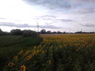 Богодухівка - Останні фото