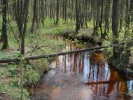 Гута-Ткачова з panoramio.com