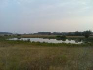 Гукове - Останні фото