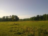 Сваркове з panoramio.com