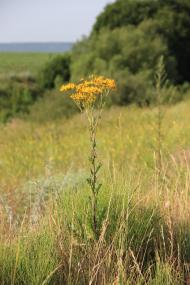 Холодне з panoramio.com