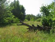 Романків з panoramio.com