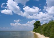 Новокам'янка - Останні фото