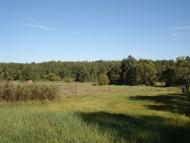 Гута-Ткачова з panoramio.com