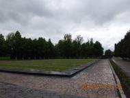 Федорівка з panoramio.com