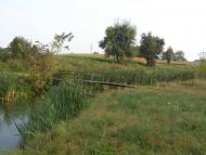 Лузанівка з panoramio.com