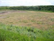 Довжок з panoramio.com